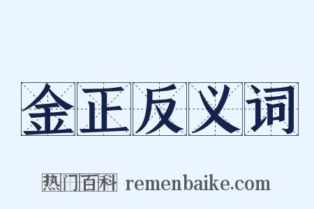 金正反义词是什么意思的图片
